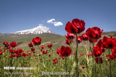 همه چیز درباره سرنوشت مرتفع ترین قله ایران بعلاوه سند
