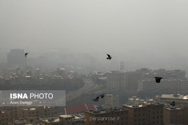 مقابله با آلودگی هوای تهران نیازمند تعامل تمام دستگاه ها