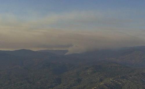 آتشسوزی کالیفرنیا، غول پیکرترین درختان جهان را تهدید می کند