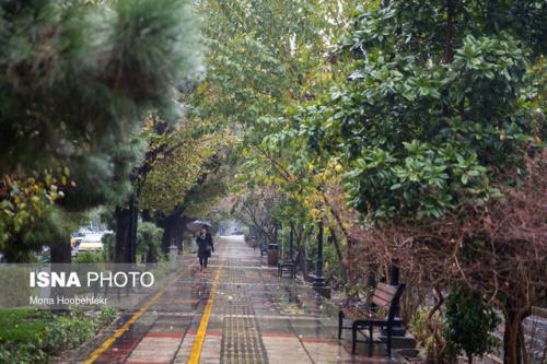 رگبار باران در 12 استان