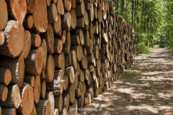 قاچاقچی چوب های جنگلی محکوم شد