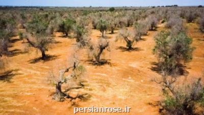 آمریكا در معرض خشكسالی عظیم و حریق های بیشتر