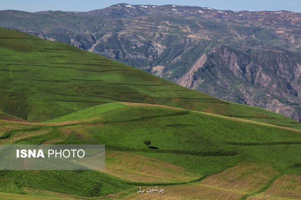 زمین هیچ وقت سخاوت خویش را از انسان دریغ نمی كند