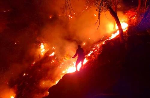 آتشسوزی عمدی جنگل های کوه نیر لوداب بویراحمد