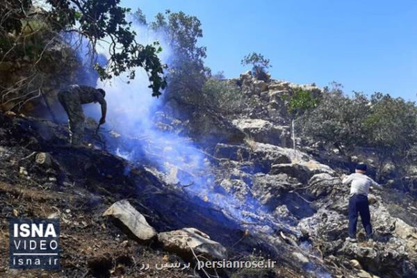 تلاش وزارت دفاع برای كنترل آتش جنگل های استان كهكیلویه و بویر احمد