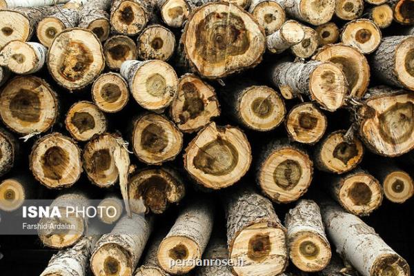 تشكیل كارگروه تشدید مبارزه با قاچاق چوب شمال كشور