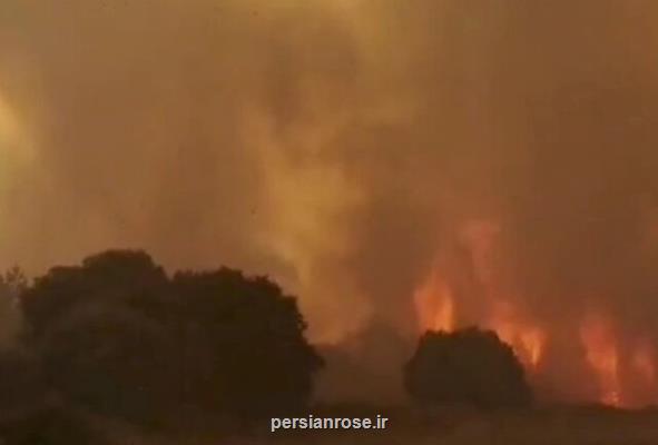 درخواست ایتالیا از اروپا برای كمك به مهار آتش سوزی های جنگلی