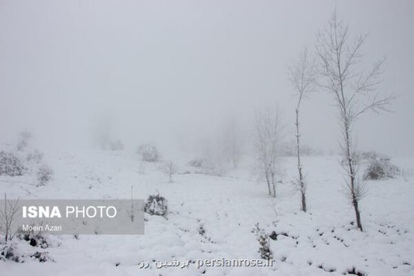 بارش باران و برف در غرب کشور