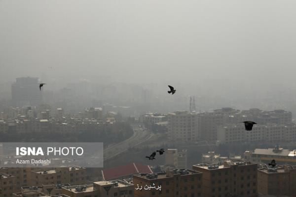 هوای تهران، ناسالم برای همه