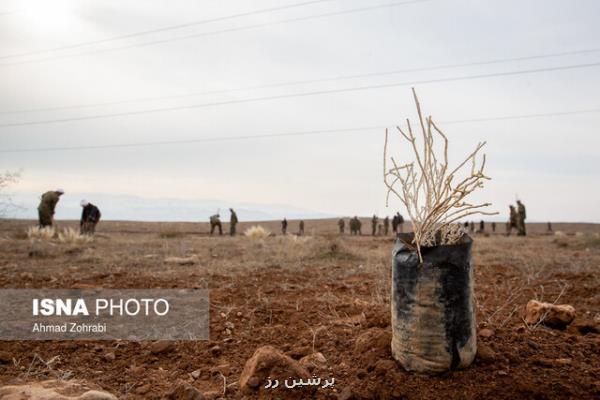 برگزاری پویش مردمی نهال کاری در شهرستان پیشوا