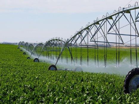 وزارت جهاد کشاورزی لایحه ممنوعیت کشت محصولات آب بر را ارائه کند