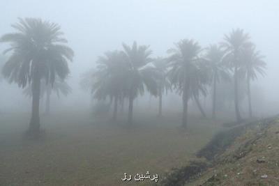 وزارت محیط زیست عراق زنگ خطر را درباره گرد و غبار به صدا درآورد