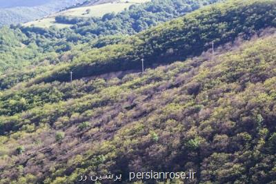جنگل های ارسباران سالانه در معرض تهدیدهای مختلف است