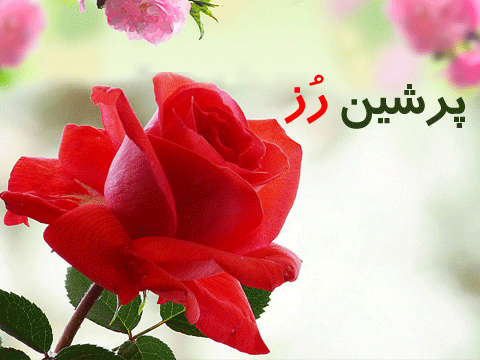 ۱۶ نکته محیط زیستی در روزهای محرم