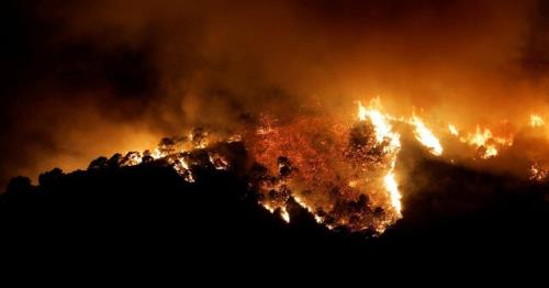 گسترش آتش مهارنشدنی در جنگل های کالیفرنیا و تخلیه خانه ها