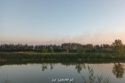 حریق تالاب انزلی مهار گشت