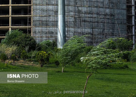 وزش باد شدید و خیزش گرد و خاک در تهران