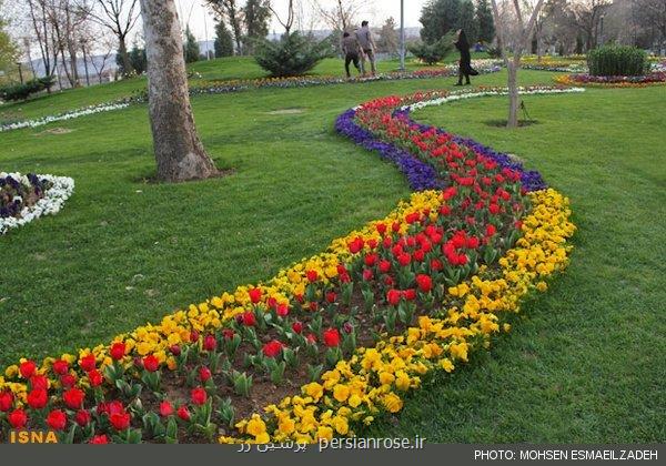 گسترش فضای سبز، راحت ترین راهکار برای کاهش آلودگی هوا