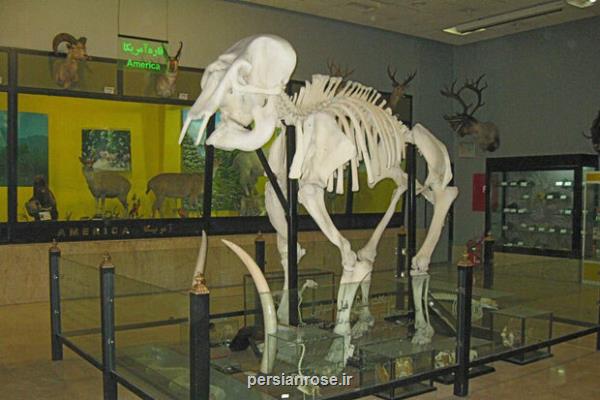 نمایش900 گونه جانوری و گیاهی کمیاب و نایاب در بوستان پردیسان