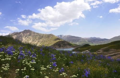 پارک ملی لار میزبان خبرنگاران حوزه محیط زیست