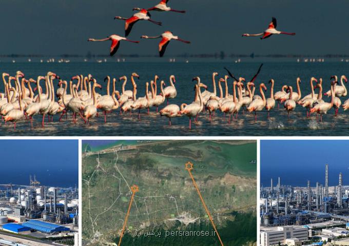 لودرها به میانکاله برگشتند