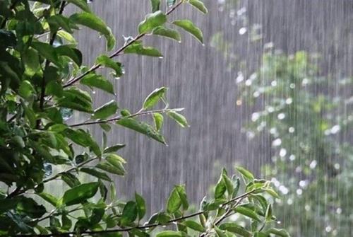 بارش باران در بعضی از استانهای کشور