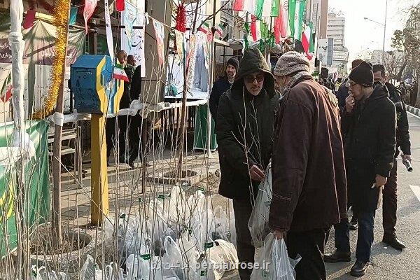 توزیع نهال رایگان در راه راهپیمایی 22 بهمن