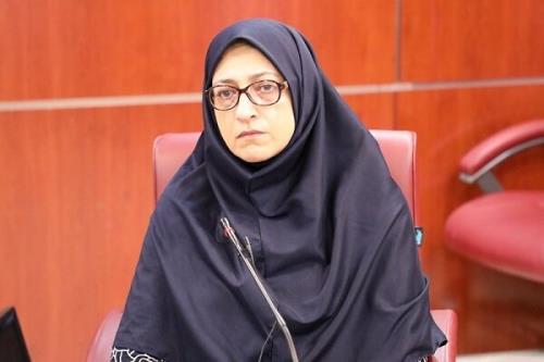ارائه برنامه عمل ایران برای ریزگردها