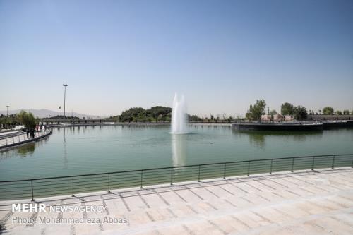 هم نشینی دوستداران پرندگان مهاجر در دریاچه هنر