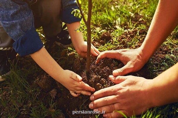 نمایشگاهی با موضوع معماری، احیای زیست محیطی و کنش جمعی
