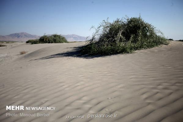 ۱۲۶ هزار هکتار کانون بحرانی در آران و بیدگل اعتبارات مقابله صفر است
