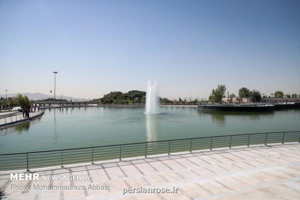 هم نشینی دوستداران پرندگان مهاجر در دریاچه هنر