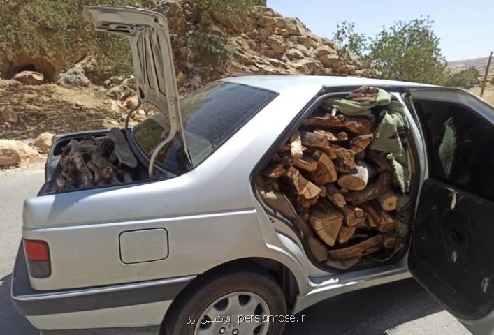 ۳۲ تن چوب و زغال بلوط قاچاق در فلاورجان توقیف شد