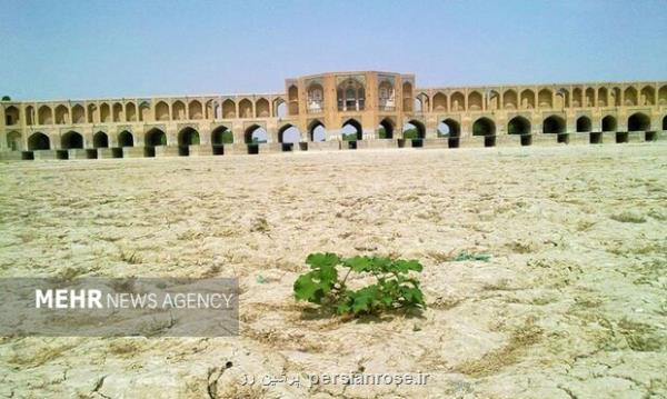 درختان کهنسال اصفهان از رنج بی آبی زاینده رود می خشکند