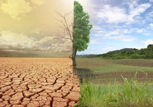 بیابان زایی در اصفهان رو به افزایش است