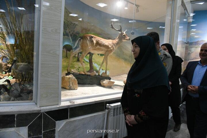 موزه های تاریخ طبیعی نقش مهمی در پیشرفت آگاهی عمومی دارد
