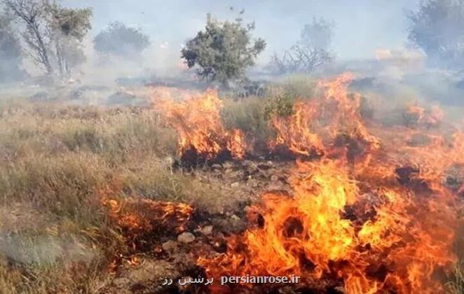 گرمای زودرس 132 هکتار از مراتع اصفهان را شعله ور کرد 25 آتش سوزی در 4 ماه