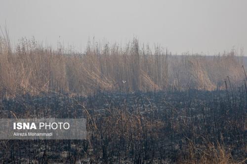 صدور دستور رهاسازی آب به سمت هورالعظیم