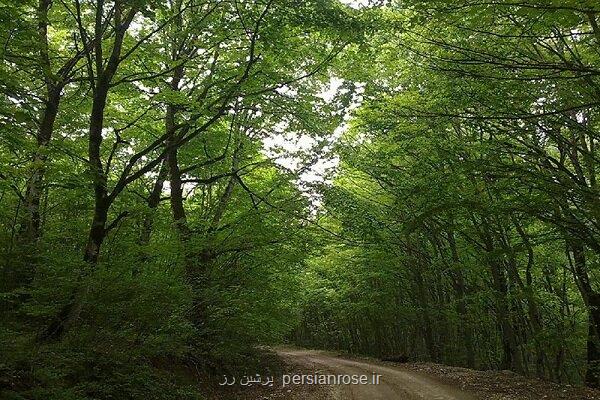 روز جهانی زیستگاه زنگ هشدار برای آینده سکونت بشر