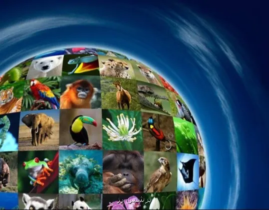 تنوع زیستی و برنامه های جهانی پیش رو
