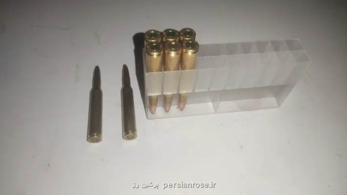 شکارچیان متخلف در پناهگاه حیات وحش صیدوا به دام افتادند