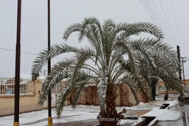 بارندگی باران و برف در تعدادی استان ها