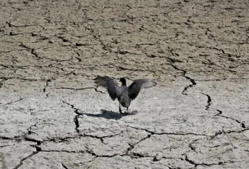 گرفتاری تهران در سه خشکسالی عمیق