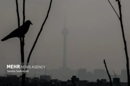 وضعیت هوای تهران نارنجی و آلوده است
