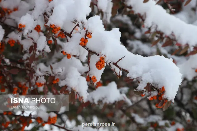 نفوذ هوای سرد قطبی به ایران
