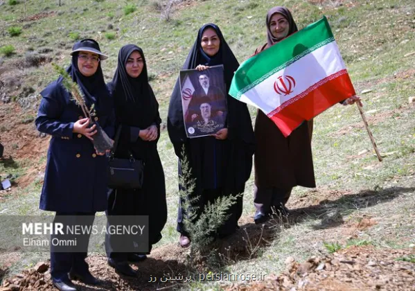 طرح کاشت یک میلیارد درخت در نیمه راه بقای نهال ها مهم تر از آمار کاشت