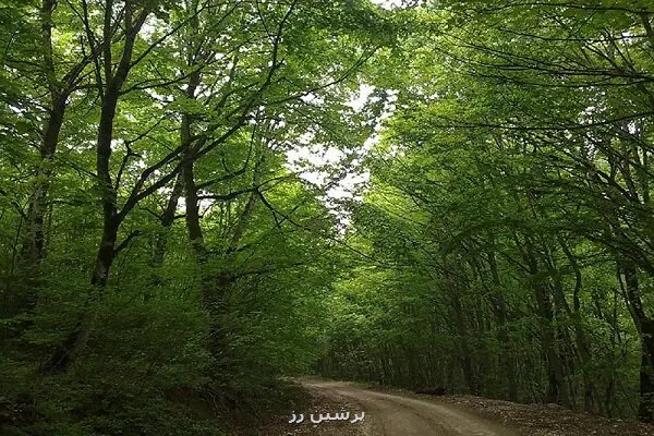 اخطار نسبت به حمل و نقل غیرقانونی جانوران وحشی در ناوگان عمومی