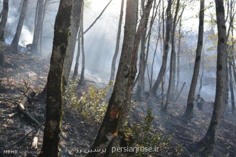آتش سوزی در جنگل دشت شاد میامی