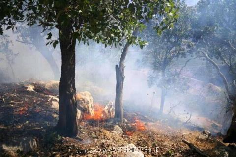 آتش سوزی ركورددار جنگل های گلستان