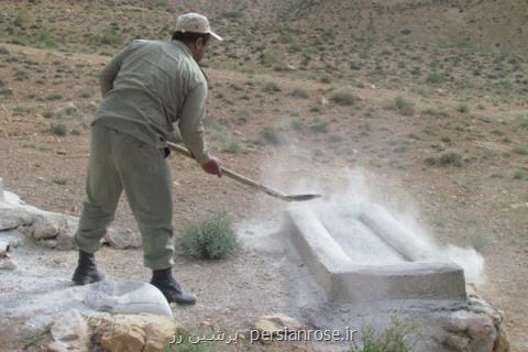 مردم نگران شیوع طاعون نشخواركنندگان نباشند